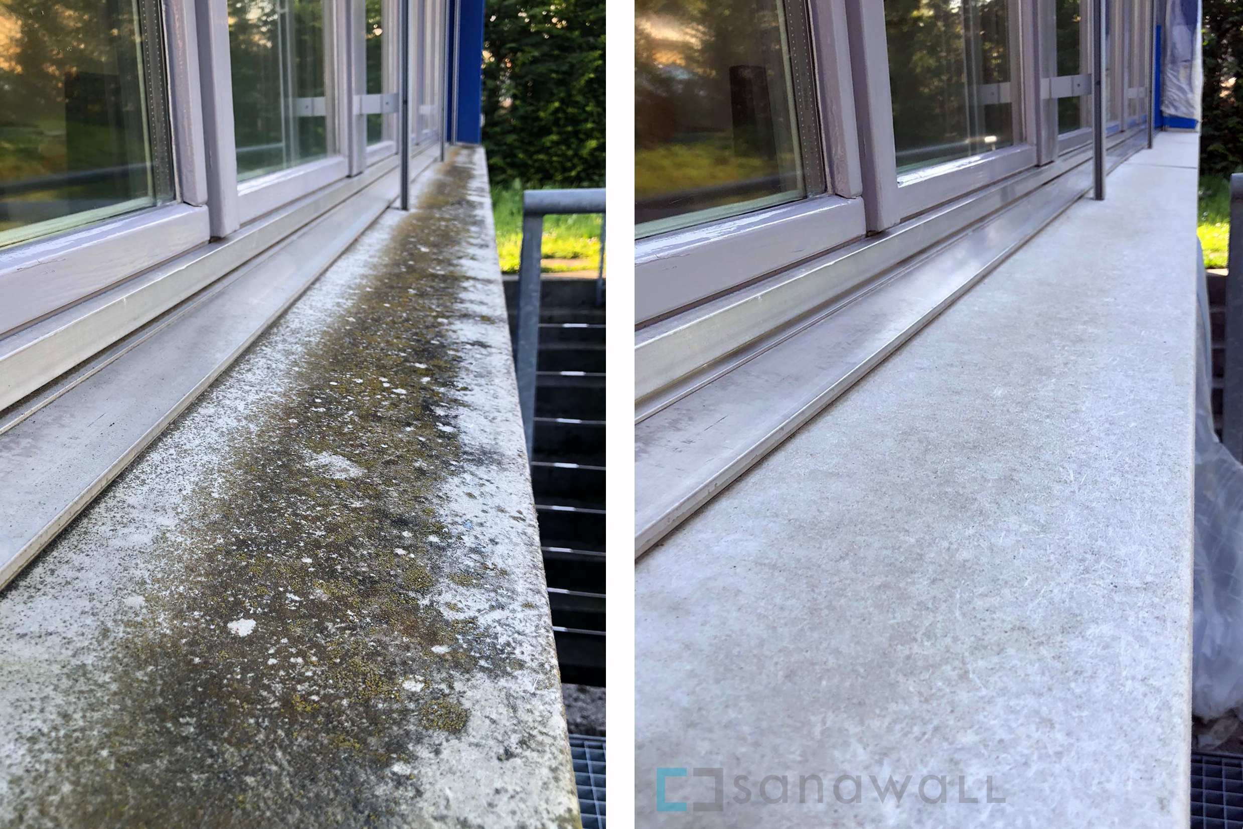 Mit Trockendampf gegen Schimmel, Flechten und Moos